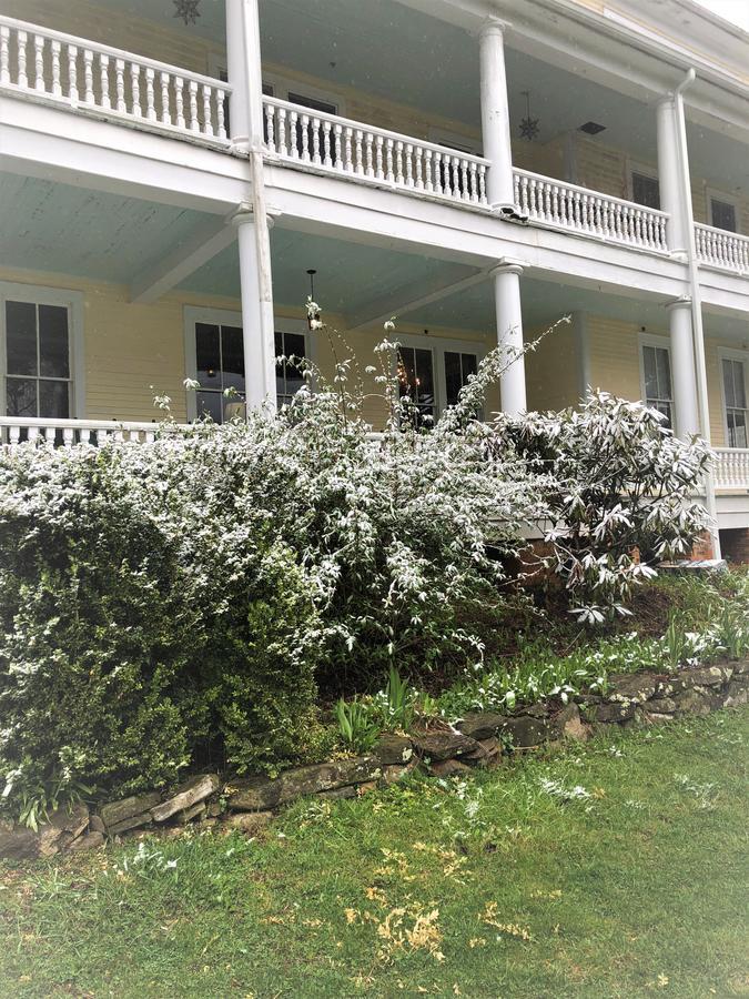 Grand Old Lady Hotel Уейнсвил Екстериор снимка